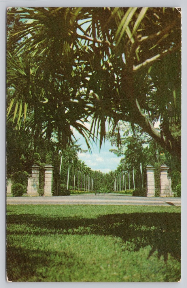 Hialeah Race Course Miami Florida Vintage Curteichcolor Postcard Palm Trees