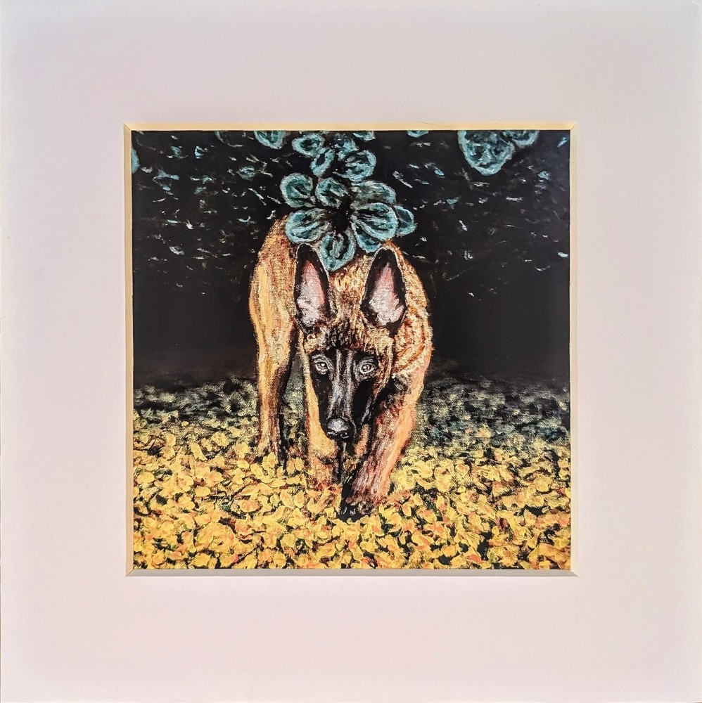 Adorable Belgian Malinois On A Walk In Autumn, Dog Fine Art