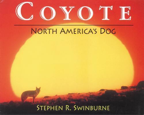 Coyote by swinburne, stephen r., Good Book
