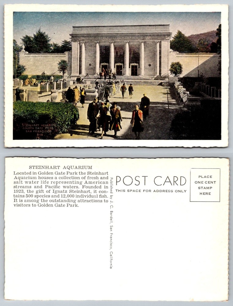Vintage Steinhart Aquarium Golden Gate Park San Francisco CA Postcard