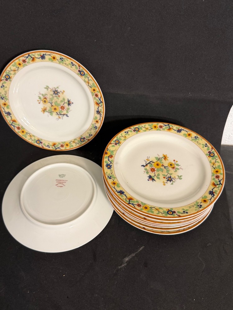 Rosenthal Chantilly Limoges Porcelain Plate