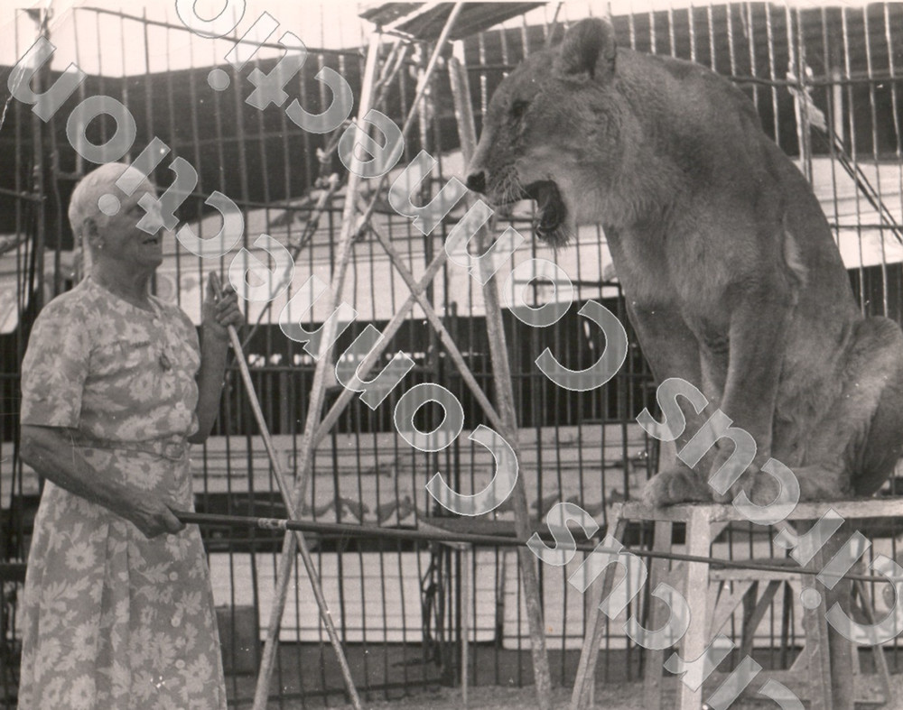 Mid Century Lion Tamer Circus Photograph 8