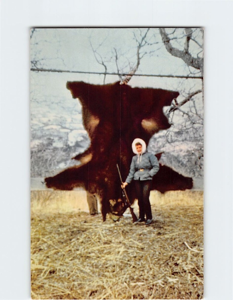 Postcard Kodiak Bear Kodiak Island Alaska USA