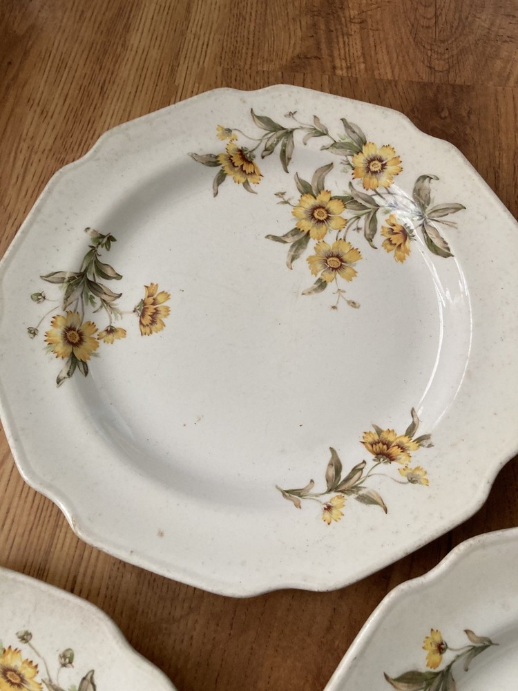 Autumn Mist by Canonsburg Dinner Plate  10-1/4