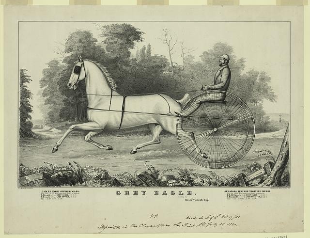 Grey Eagle,driven by Hiram Woodruff,Harness Racing,Horse,c1850,Currier & Ives
