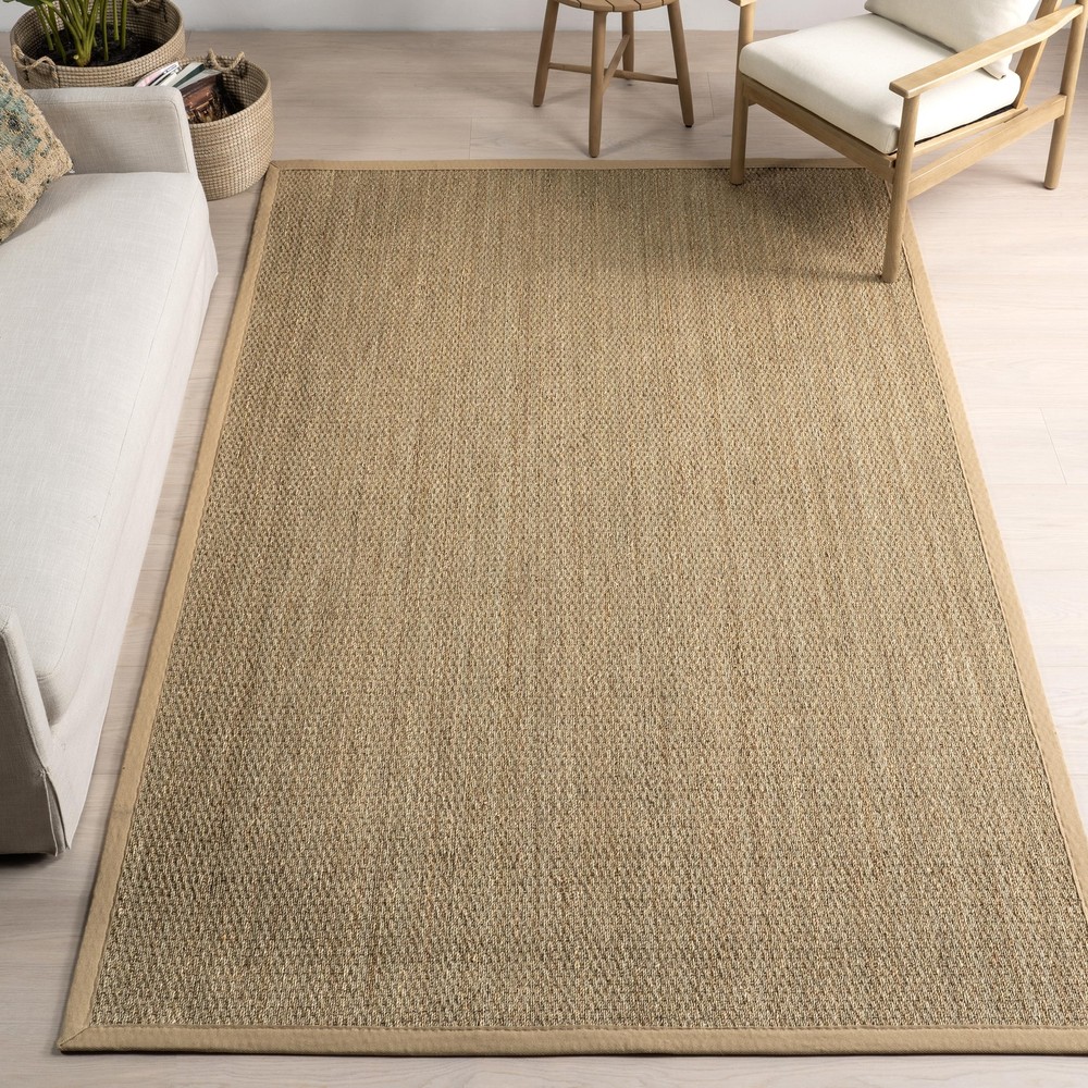 nuLOOM 4x6 Elijah Beige Cotton Seagrass Rug Farmhouse Solid Weave
