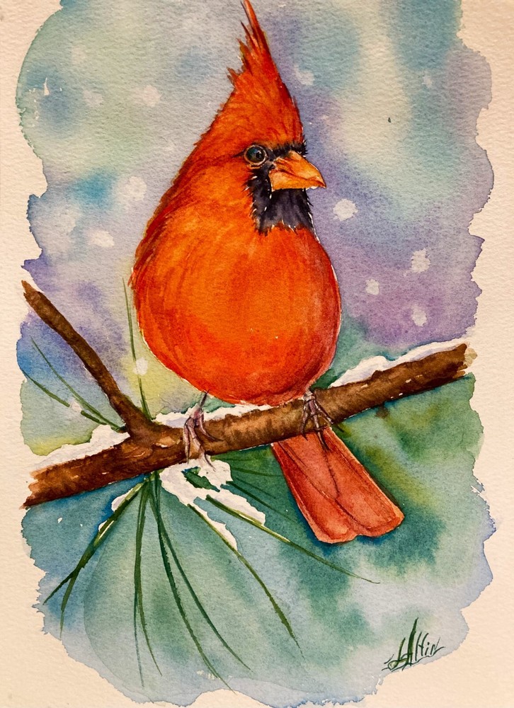 Red Cardinal  Watercolor Original  Painting