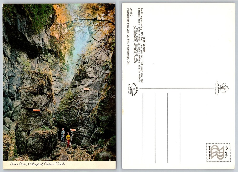 Fern Cavern Scenic Caves Collingwood Ontario Canada Postcard Vintage Chrome