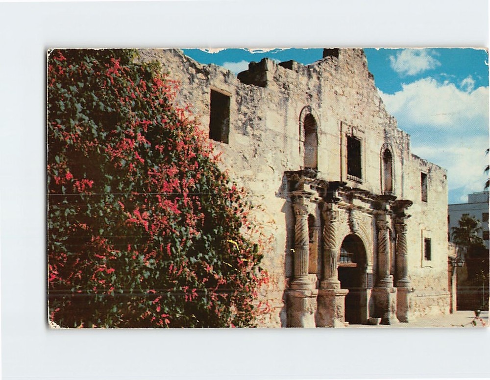 Postcard The Alamo San Antonio Texas USA