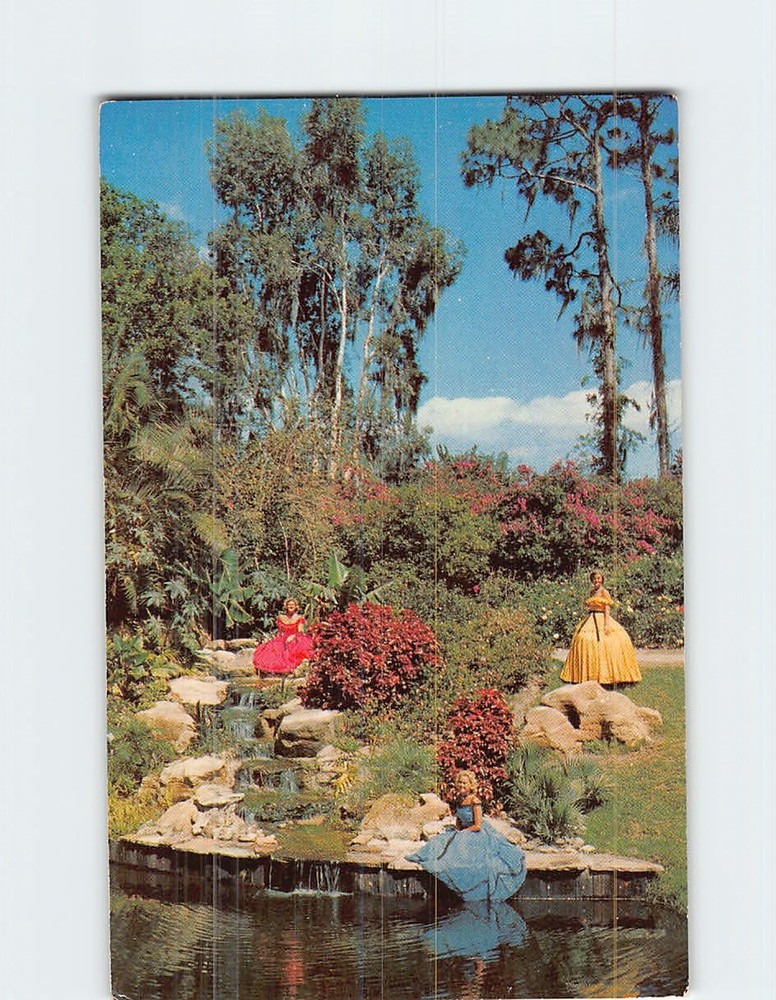 Postcard Rock & Roll Pool Cypress Gardens Florida USA