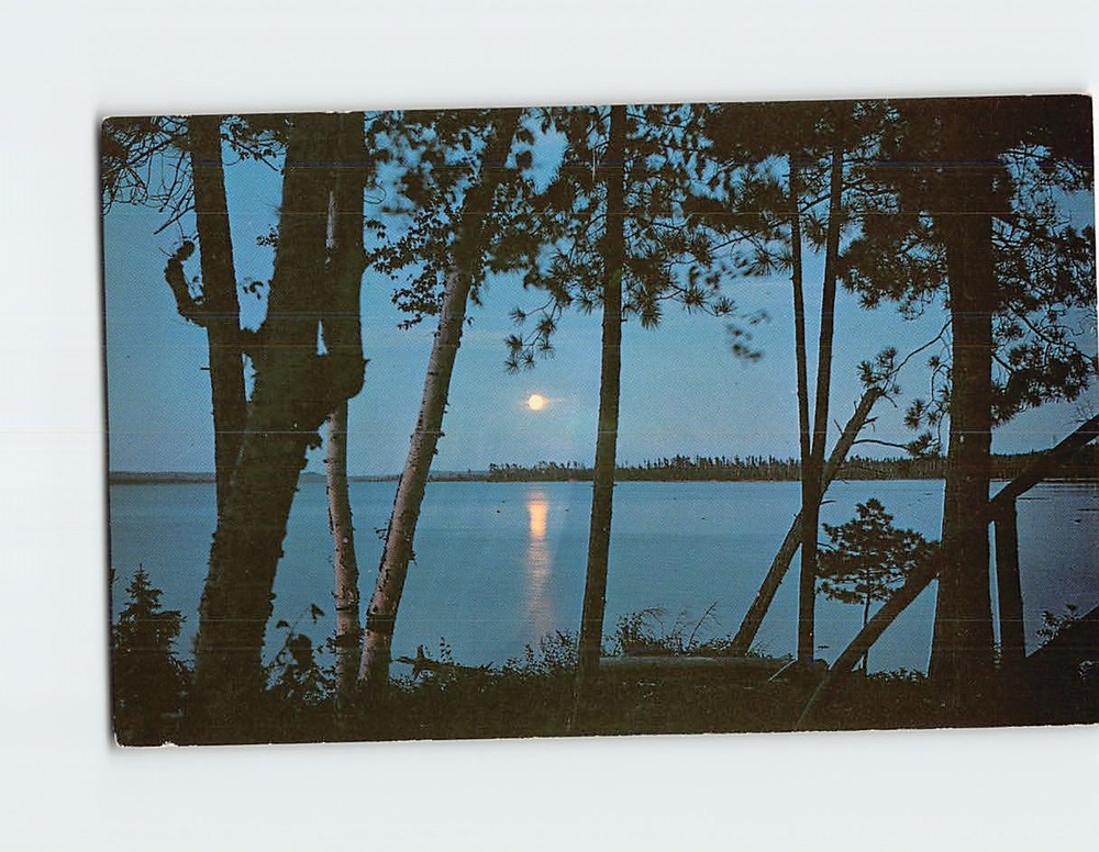 Postcard Moonlight Over Peninsula Lake Muskoka Ontario Canada