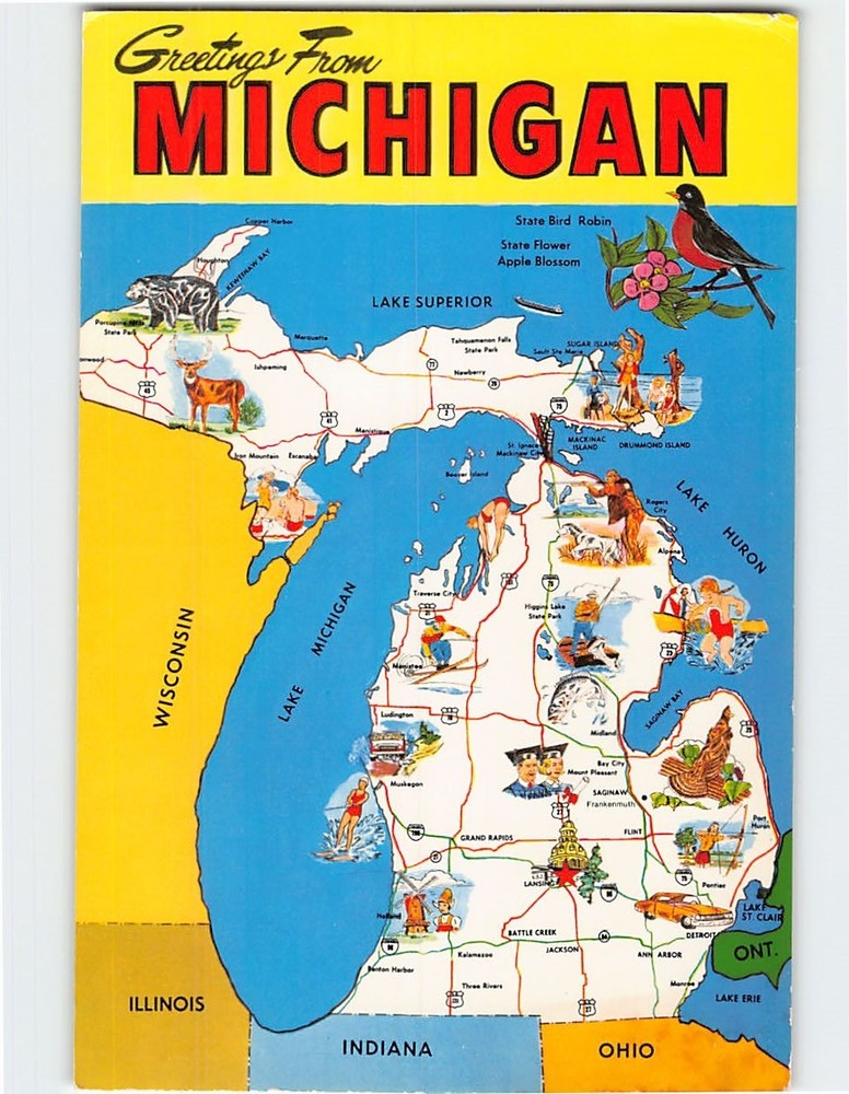 Postcard Greetings From Michigan USA