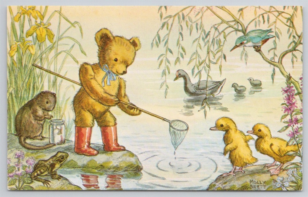 Caught A Tadpole Teddy? Molly Brett Artist Anthropomorphic Medici Postcard AH24