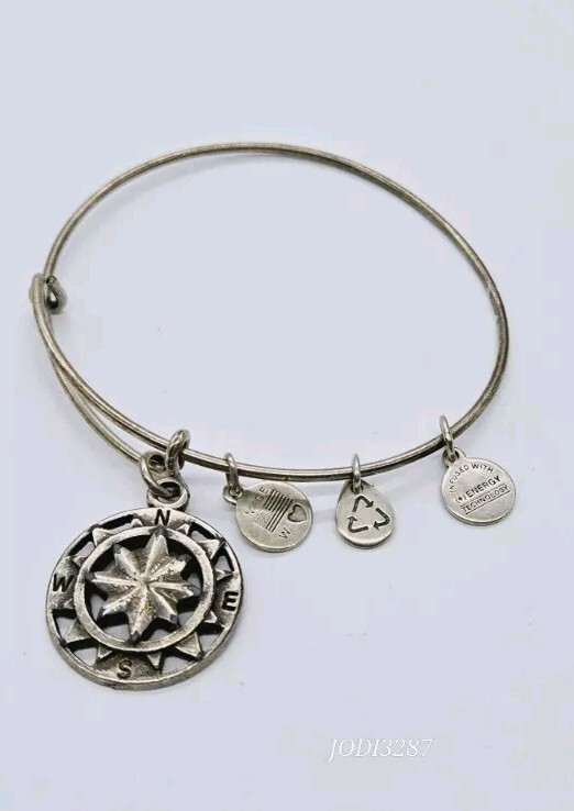Alex and Ani Charm Bracelet silver tone Compass Dangle Round OSFM One Size