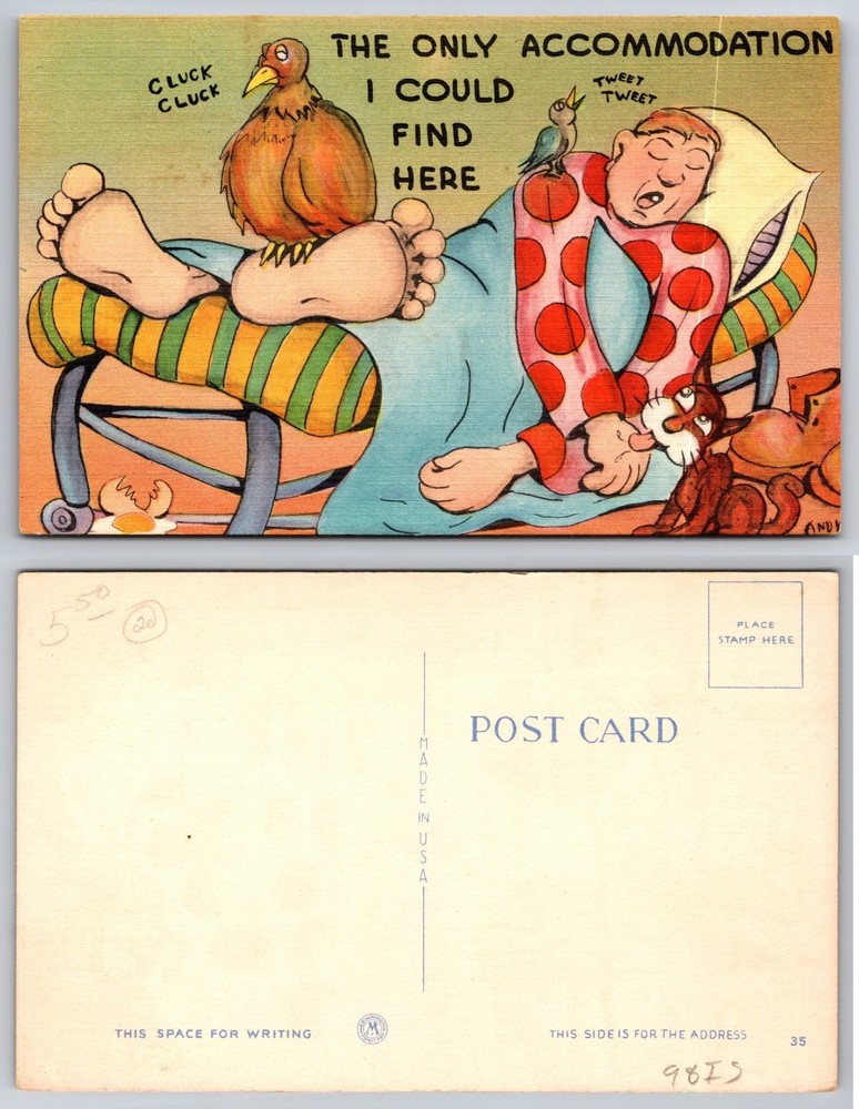 Humorous Cartoon Postcard Man Sleeping with Animals The Only Accommodation-image