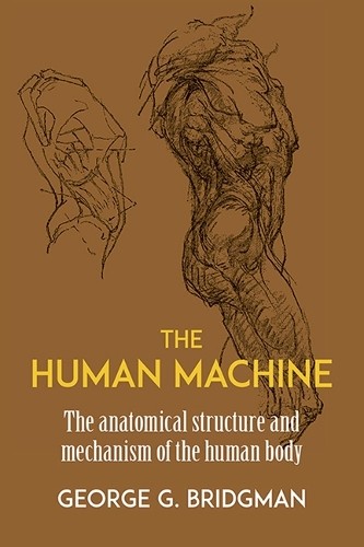 George B. Bridgman The Human Machine (Paperback) Dover Anatomy for ArtistsAnother great item from Rarewaves USA | Free delivery!