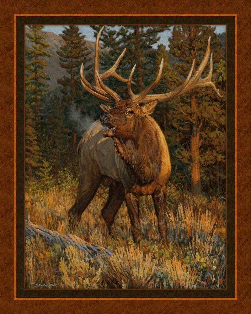 FALL CHALLENGE 