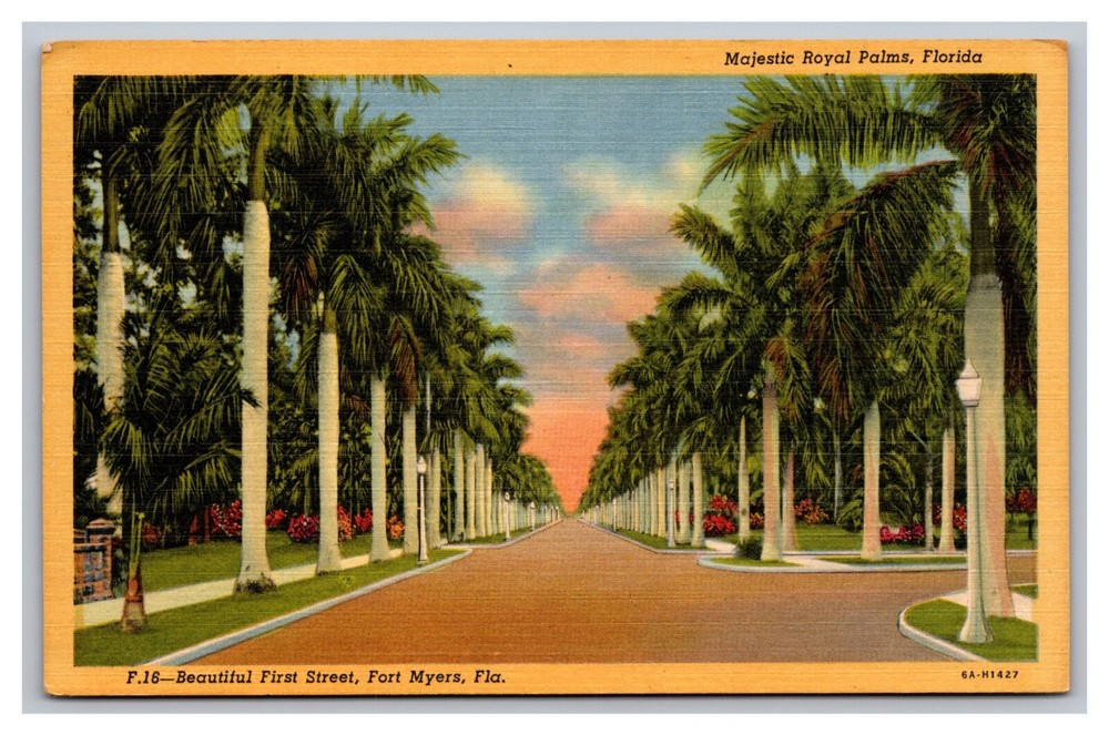 Fort Myers Florida FL Beautiful First Stree Royal Majestic Palms Linen Postcard