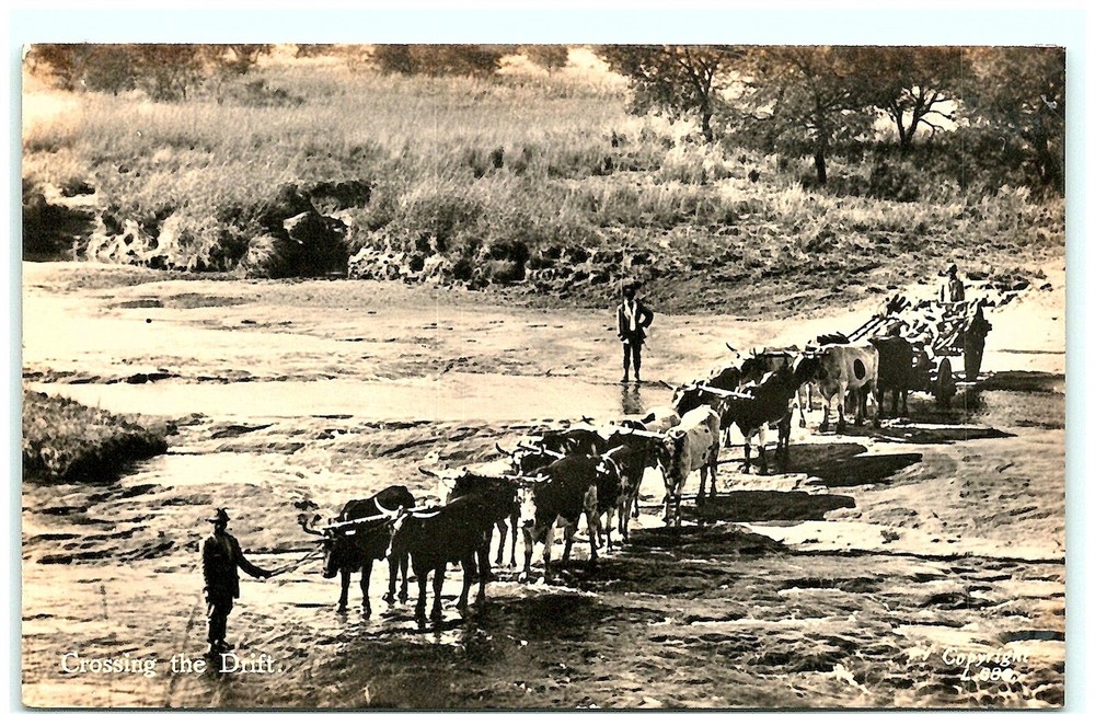 S02-1664, CROSSING THE DRIFT, REAL PHOTO POSTCAR