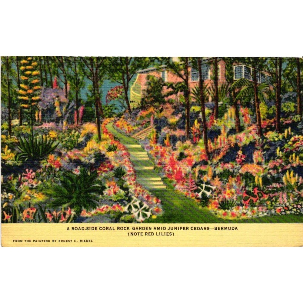 Vintage Bermuda Postcard 1937 Ernest C Riedel Coral Rock Garden Linen Art 7AH851