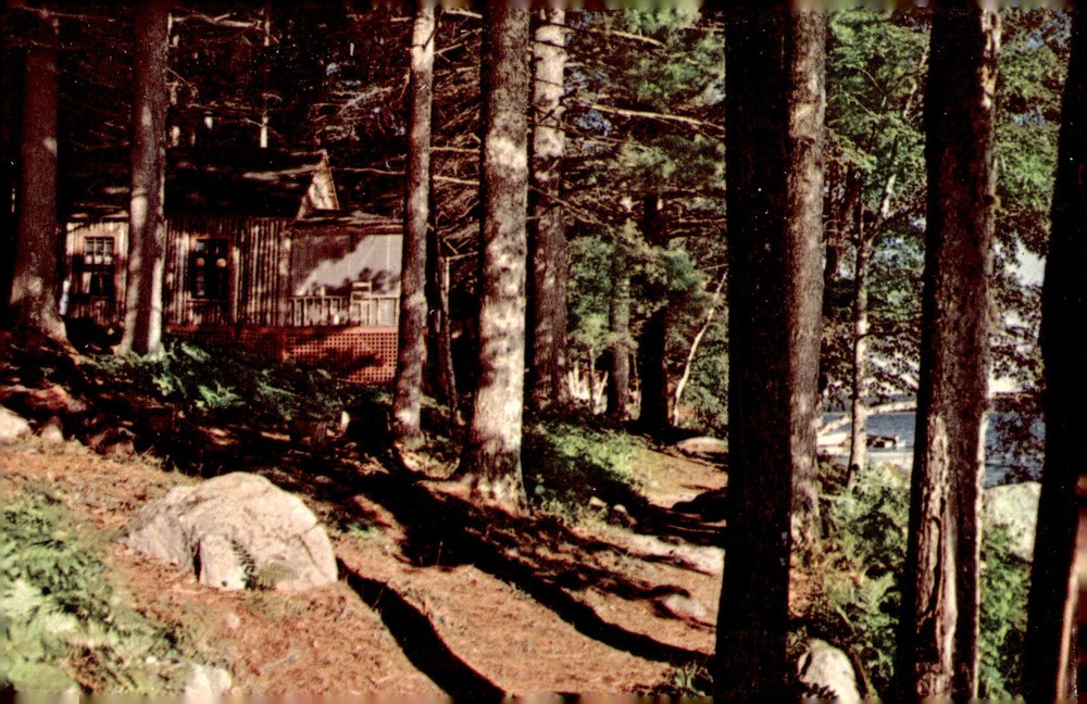 1960s Alden Camps Oakland Maine Scenic East Lake Belgrade Chain Chrome Postcard