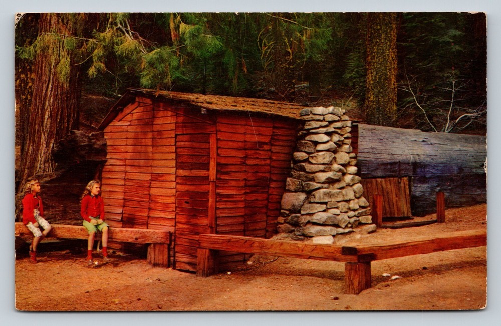 c1962 Tharp's Log & Kids At Sequoia National Park California VINTAGE Postcard