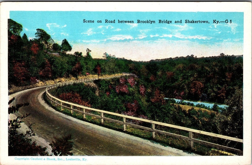Shakertown KY-Kentucky, Scene on Road, Wild Plants, Vintage Postcard