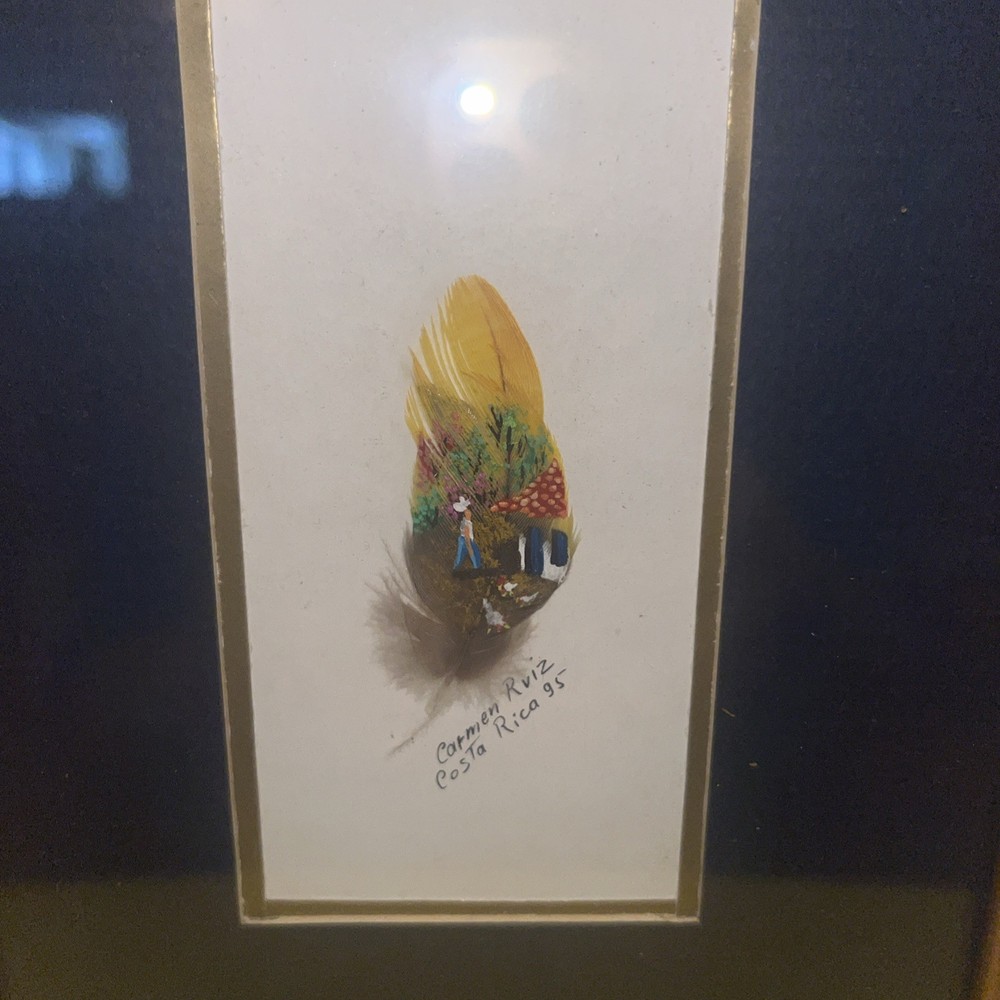 Hand painted Feather In Frame Signed By Artist
