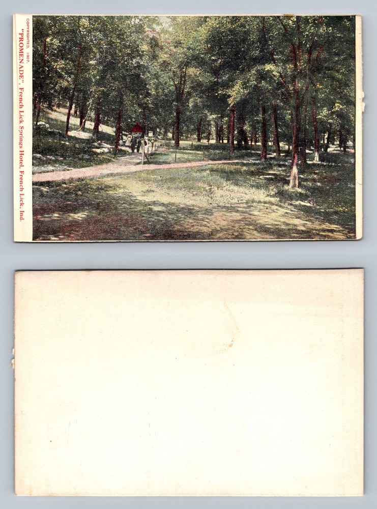 French Lick, IN-Indiana, Promenade Springs Hotel View Standard Vintage Postcard