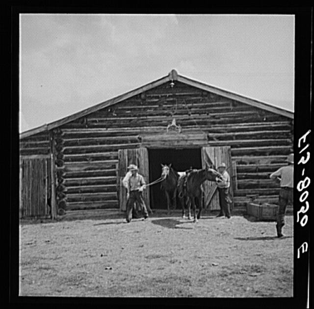 Photo:Big Hole Valley, Montana. On a cattle ranch, Beaverhead County