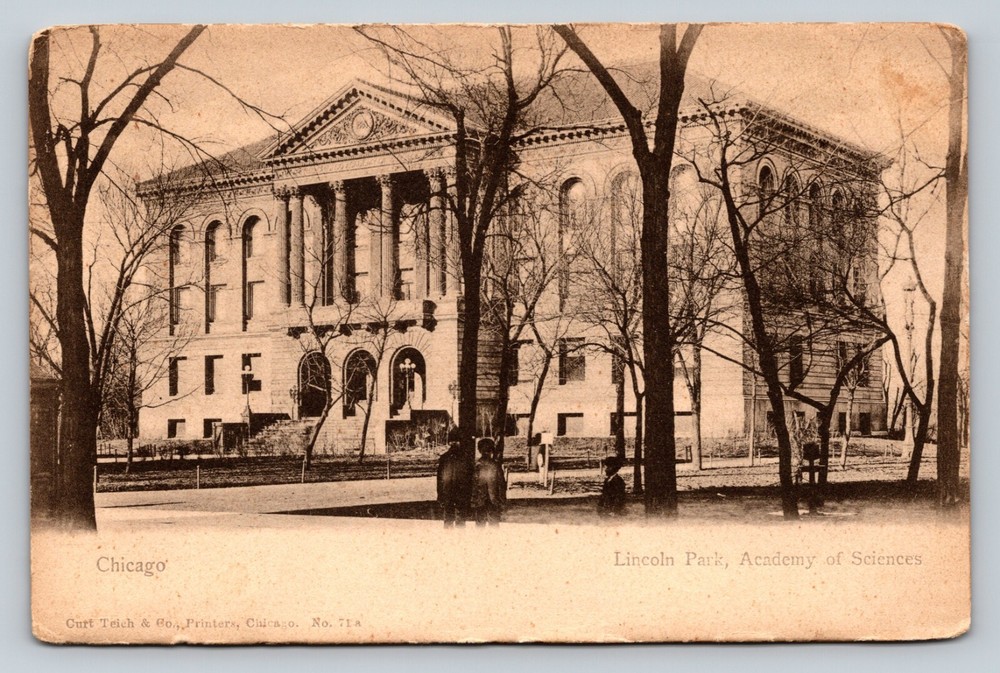 Lincoln Park Academy of Sciences Chicago Illinois IL VINTAGE Postcard-image