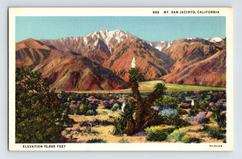 Postcard California Mt San Jacinto Landscape 1940s Unposted Linen