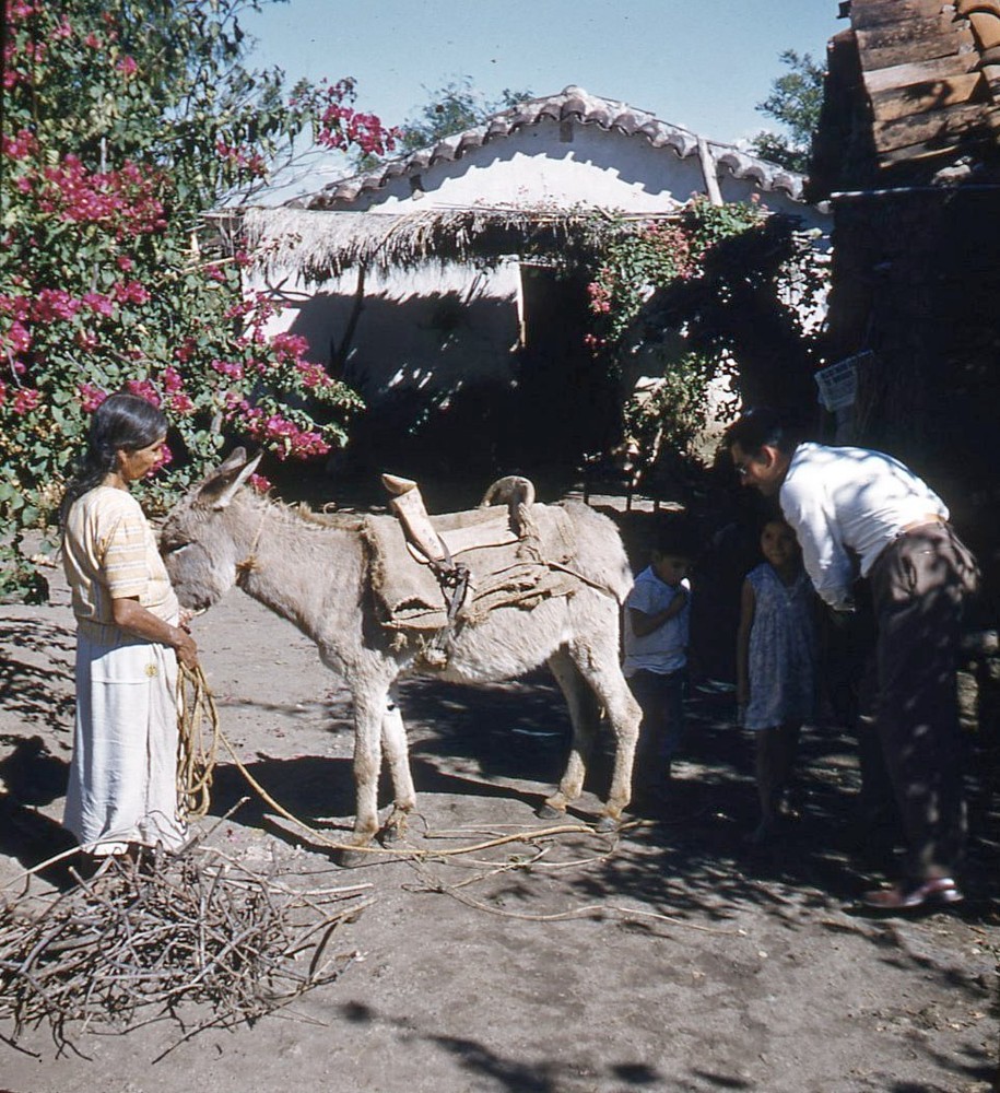 Vintage Stereo Realist Photo 3D Slide MEXICO Burro and Children