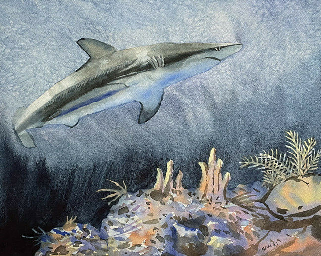 Shark 1, Underwater, Original Watercolor Painting, Nautical, Signed, 20x16 inch