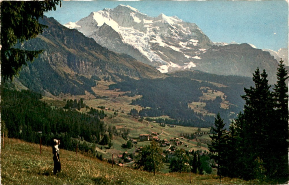 Wengen, Jungfrau, Bern, Helvetia, Schönbühl, Hond Postcard