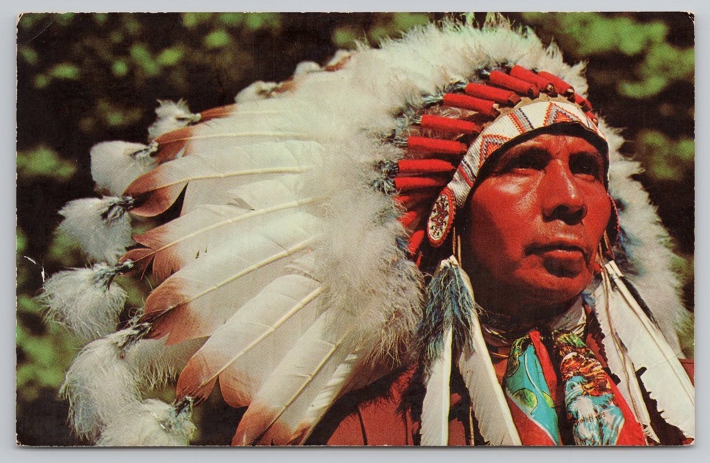 Greetings From Windham New York NY Postcard Indian Chief w Head Dress