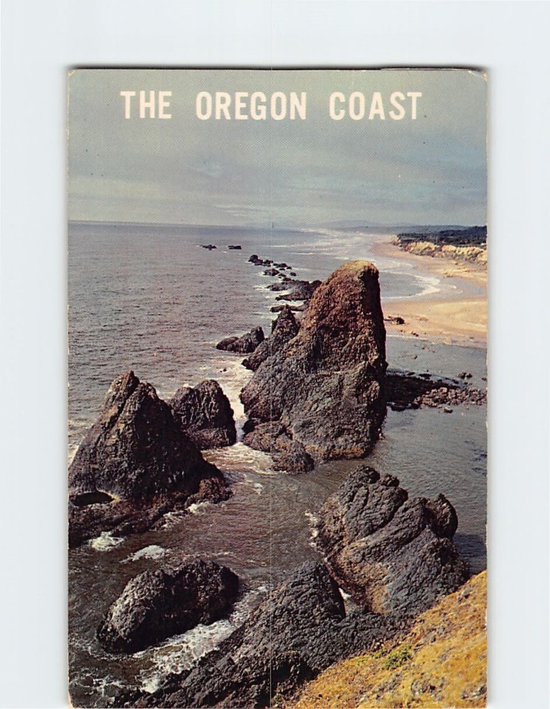 Postcard THe Oregon Coast near At Seal Rock USA