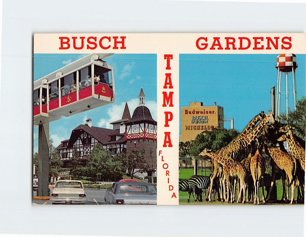 Postcard Scenes in Busch Gardens Tampa Florida USA