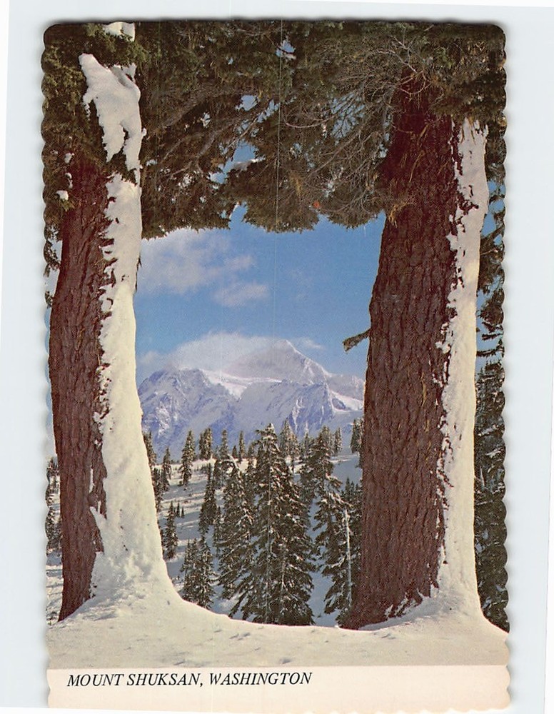 Postcard Mount Shuksan Washington USA