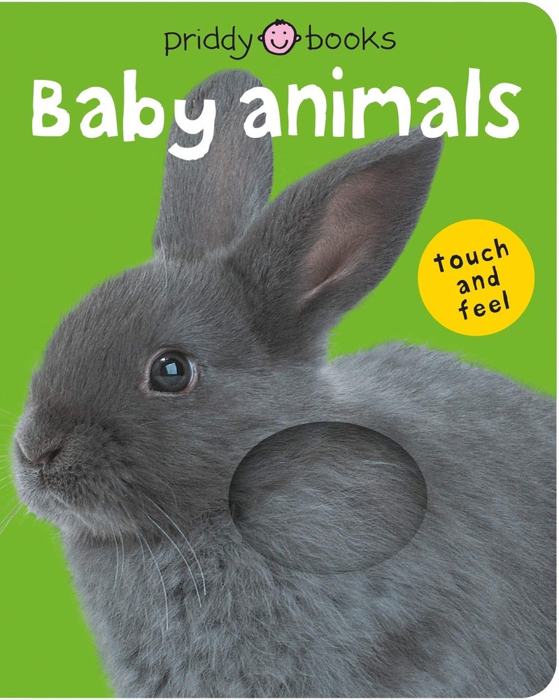 Baby Animals (Bright Touch and Feel): A first sensory tactile book