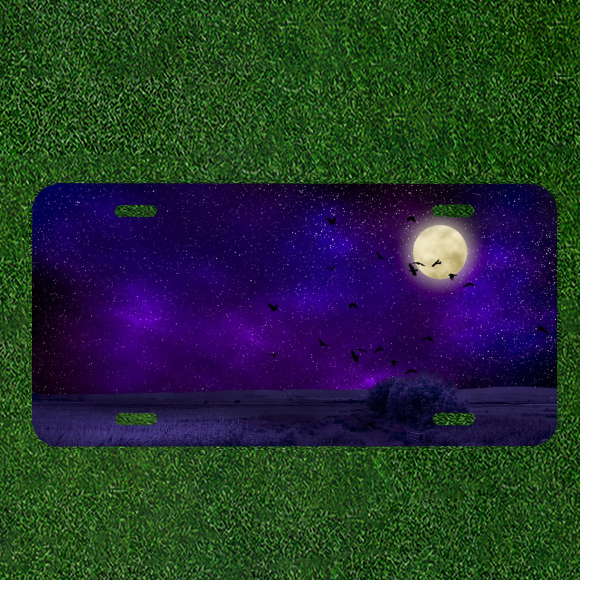 Custom Personalized License Plate Auto Tag With Purple Moon Sky With Birds Art