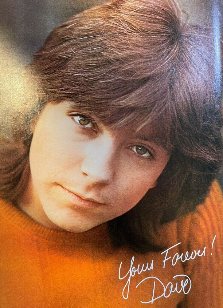 1971 Vintage Magazine Illustration David Cassidy Keith Partridge