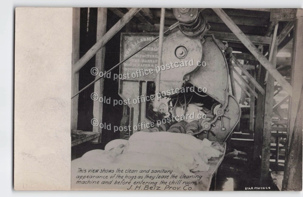 St Louis, Missouri-J.H. Belz Provision Co-Interior View #2-c1907-RPPC Postcard
