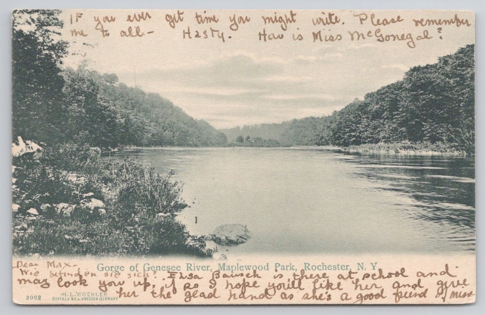 1908 Genesee River Gorge Maplewood Park Rochester NY Postcard