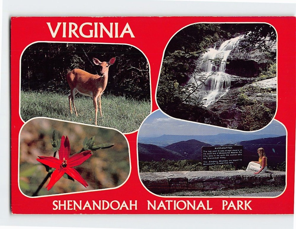 Postcard Shenandoah National Park Virginia USA