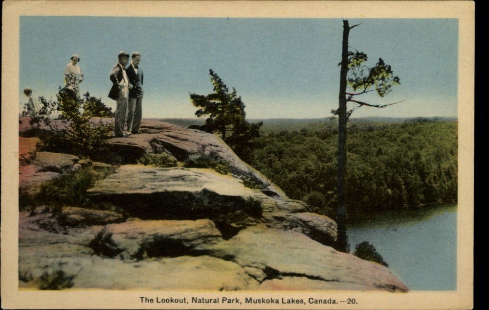 The Lookout Natural Park Muskoka Lakes Ontario Canada vintage postcard n938