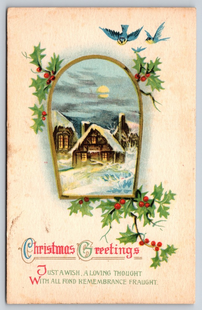 Greetings~Homes In Frame Birds Holly Christmas Greeting~Stecher Vintage Postcard