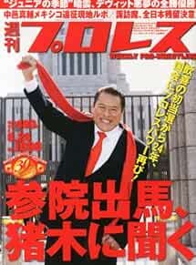 WEEKLY PRO-WRESTLING 2013 June 26 Japan Book Magazine Japanese book form JP
