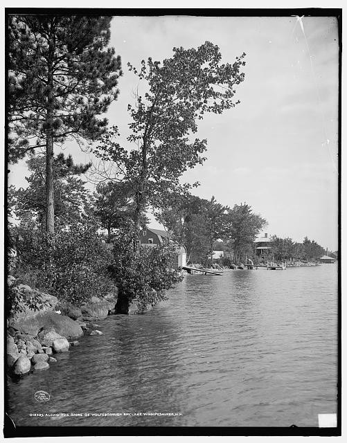 Photo:Wolfeborough Bay Lake Winnipesaukee NH 1900s Shoreline Trees Dock