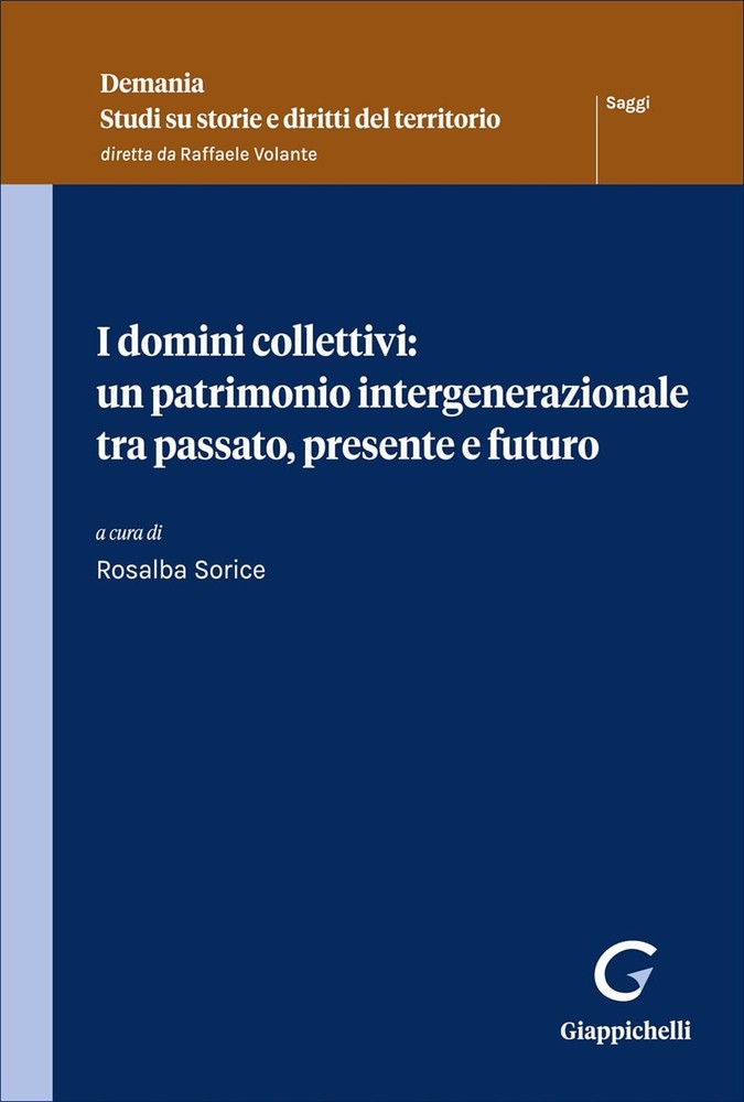 Rosalba Sorice I domini collettivi: un patrimonio intergenerazionale tra  (Book)